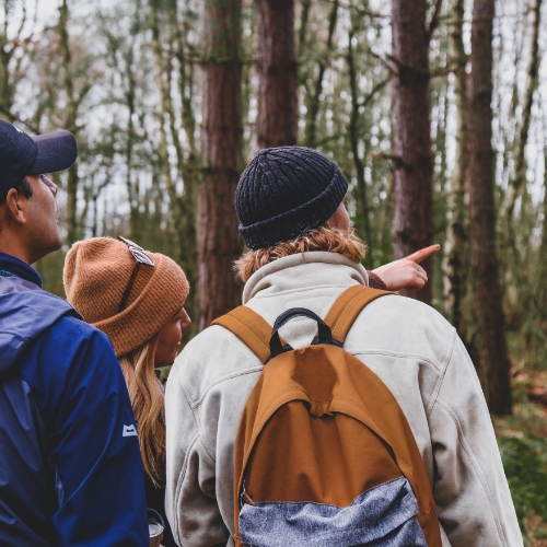 physical-therapy-clinic-neck-pain-relief-arvada-physical-therapy-arvada-co