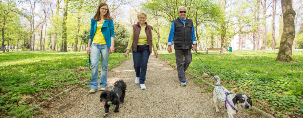 Post-Op Rehab After Joint Replacement: Key Strategies for Success